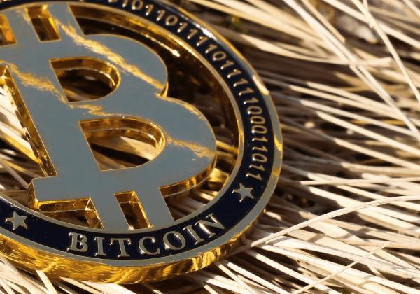 The Growth of Crypto Startups Around the World